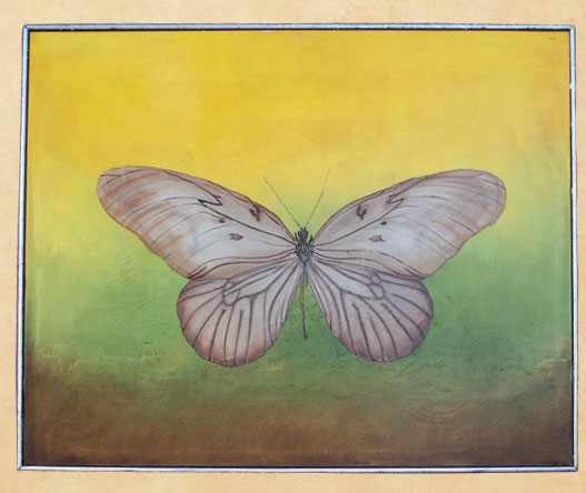 butterflypainting