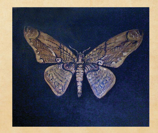 butterflypainting